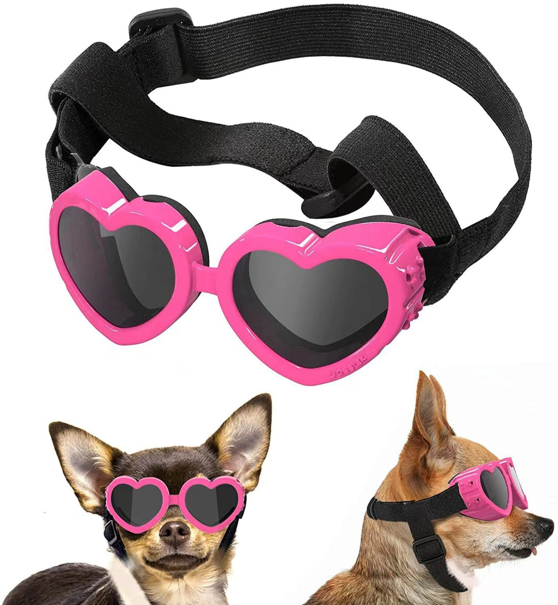 pet Accessories