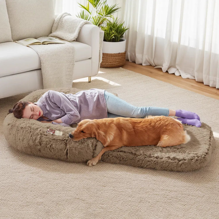 pet beds & comfort