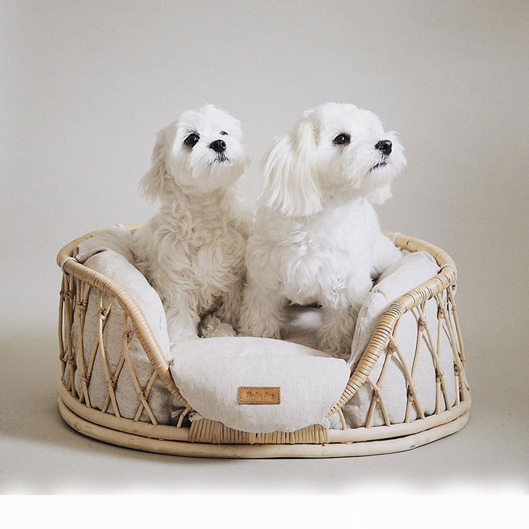 pet beds & comfort